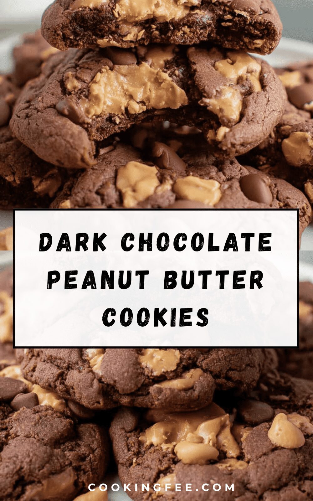 Dark Chocolate Peanut Butter Cookies