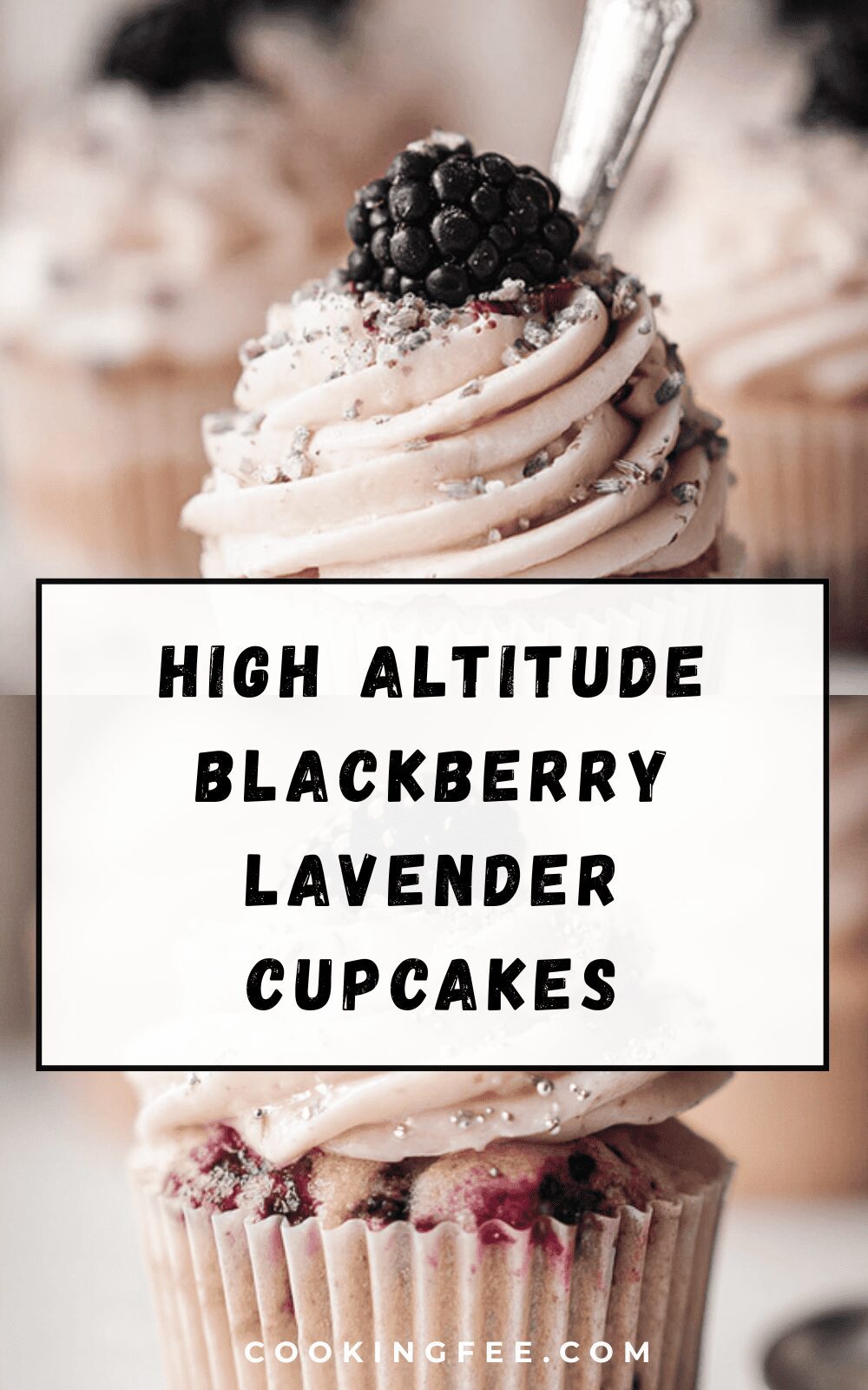 High Altitude Blackberry Lavender Cupcakes