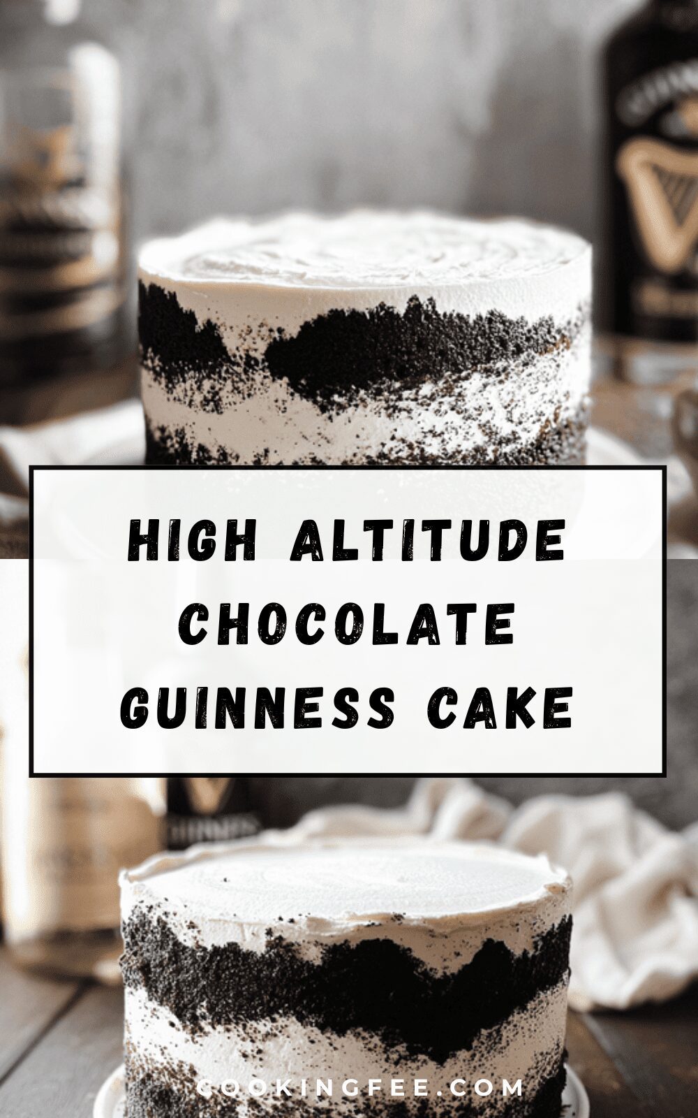High Altitude Chocolate Guinness Cake