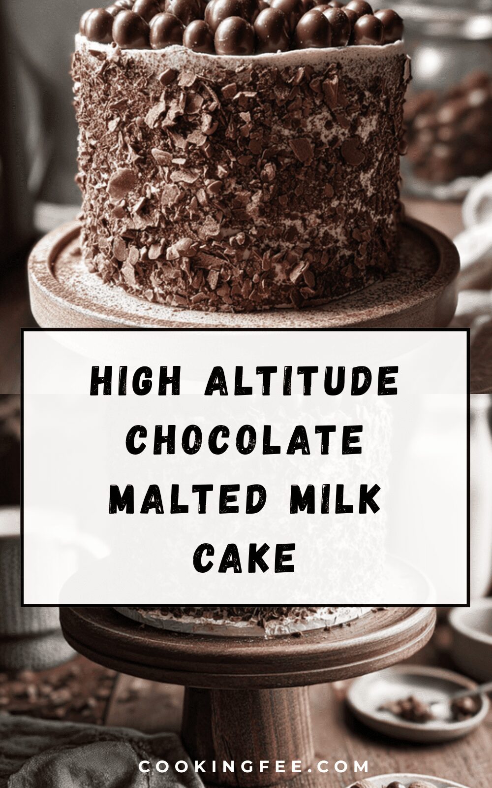 High Altitude Chocolate Malted Milk Cake
