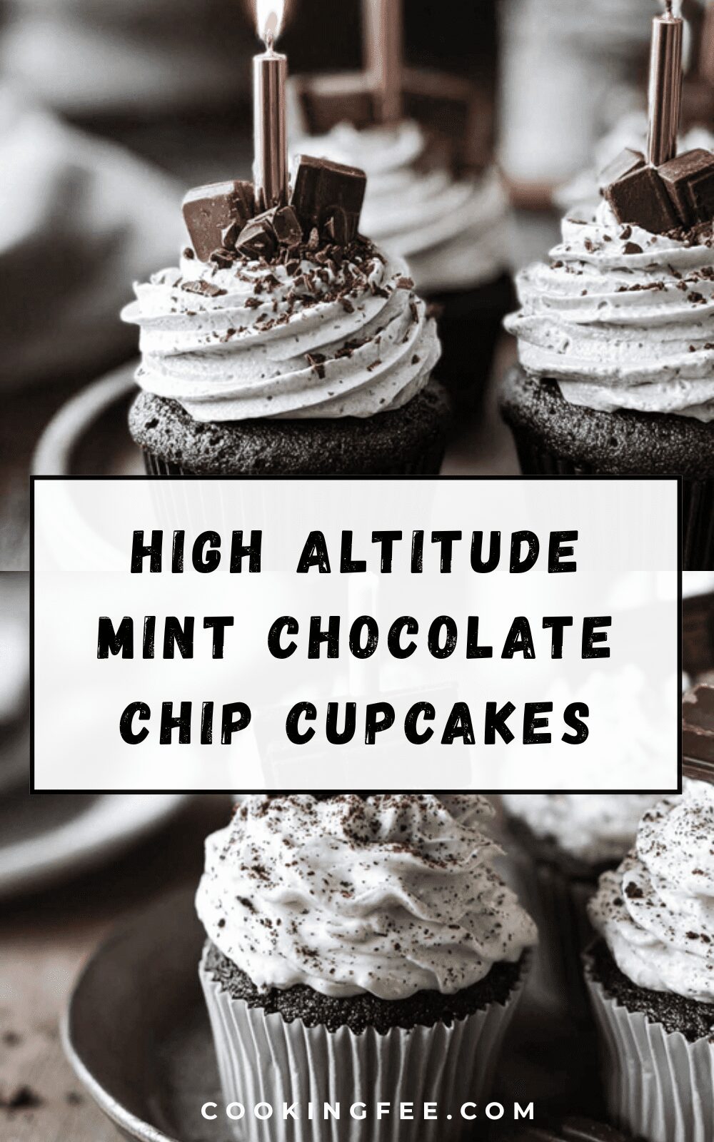 High Altitude Mint Chocolate Chip Cupcakes