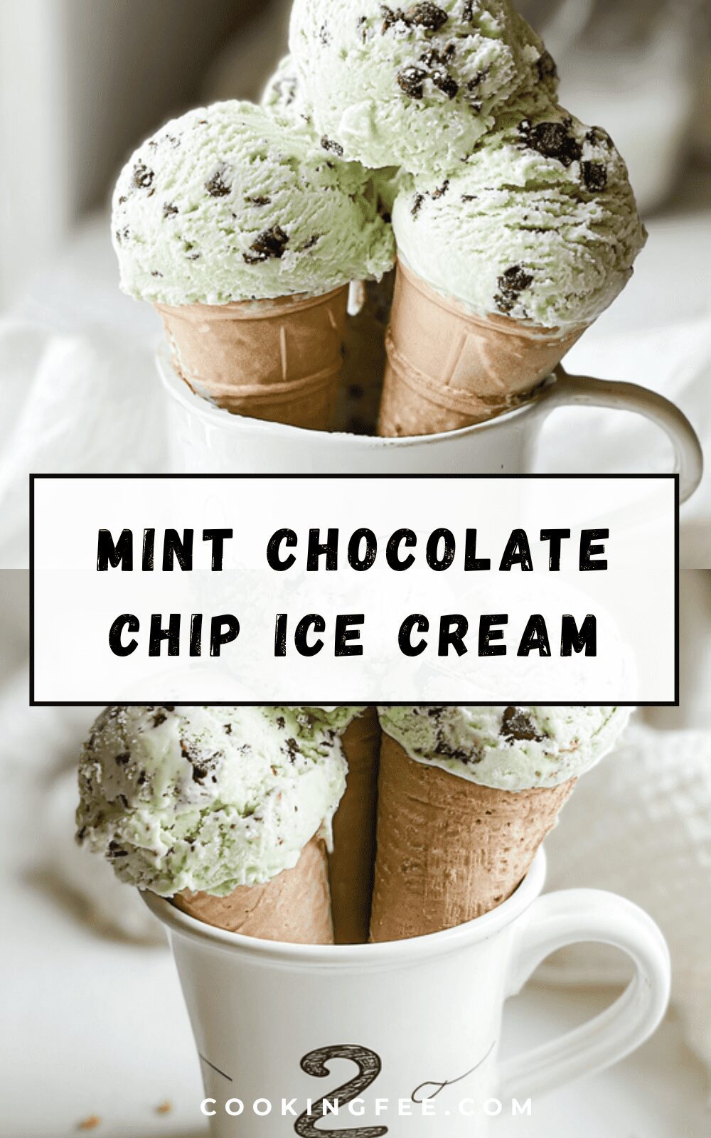 Mint Chocolate Chip Ice Cream
