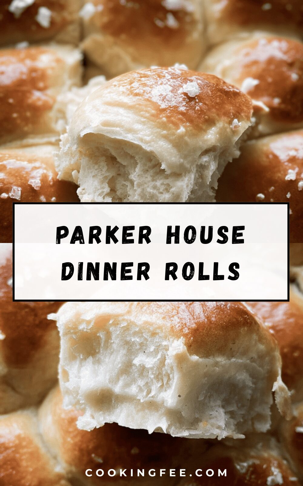 Parker House Dinner Rolls