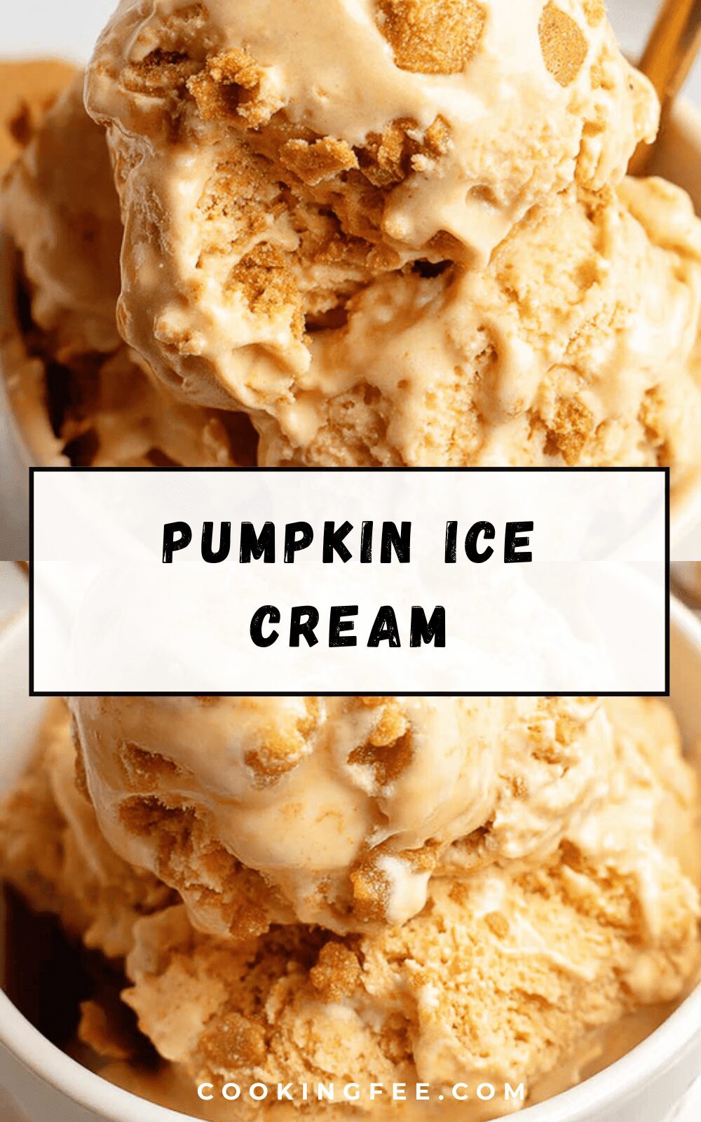 Pumpkin Ice Cream