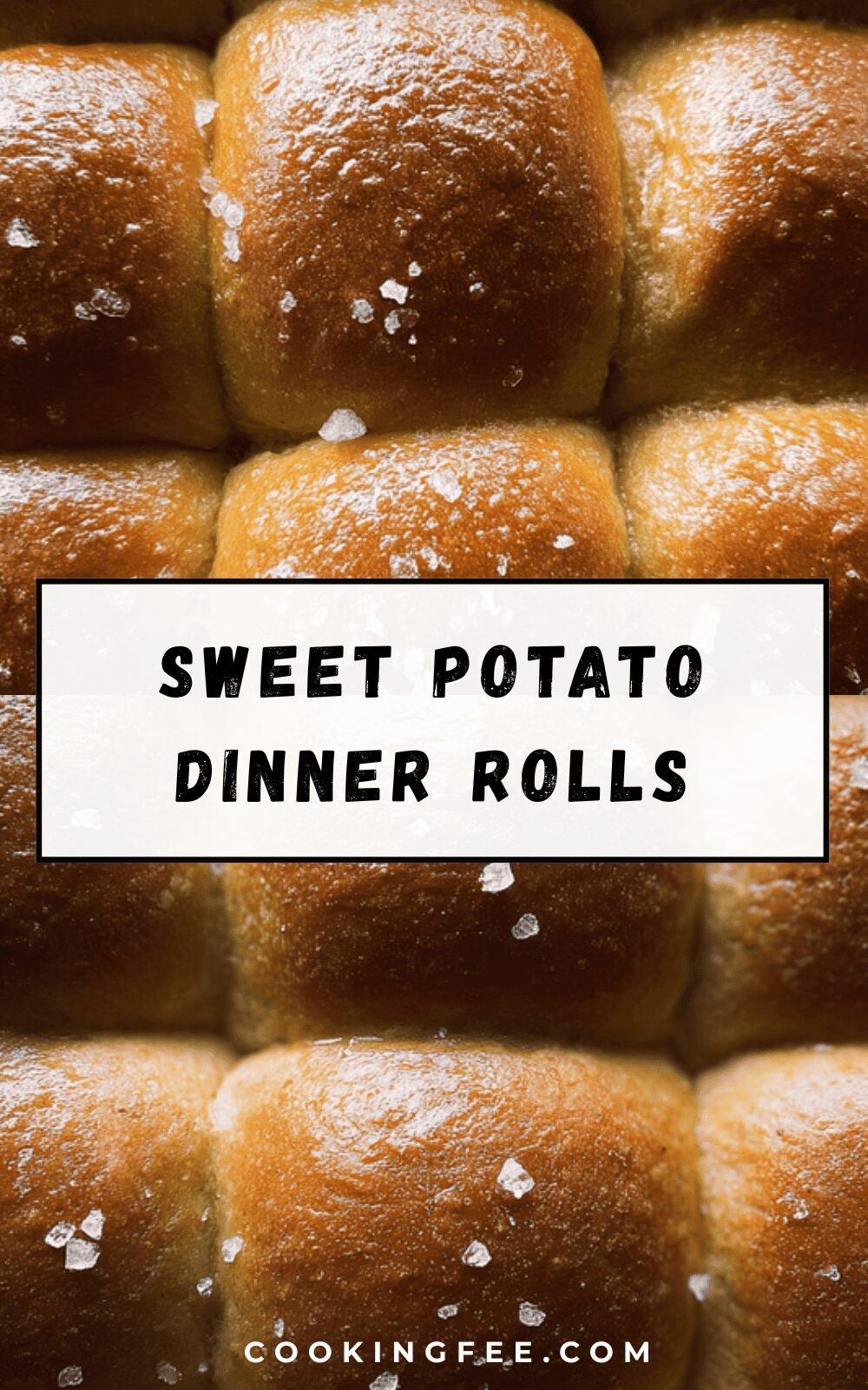 Sweet Potato Dinner Rolls