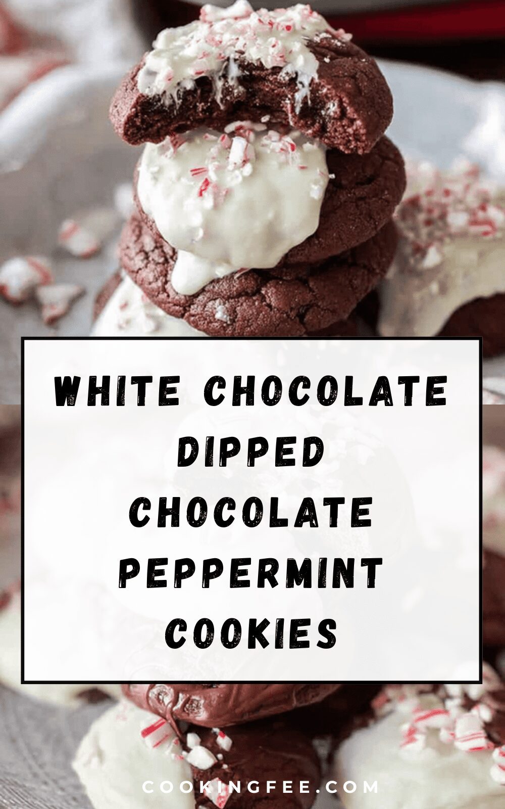 White Chocolate Dipped Chocolate Peppermint Cookies