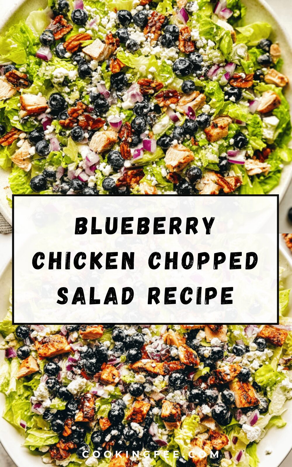 Blueberry Chicken Chopped Salad Recipe