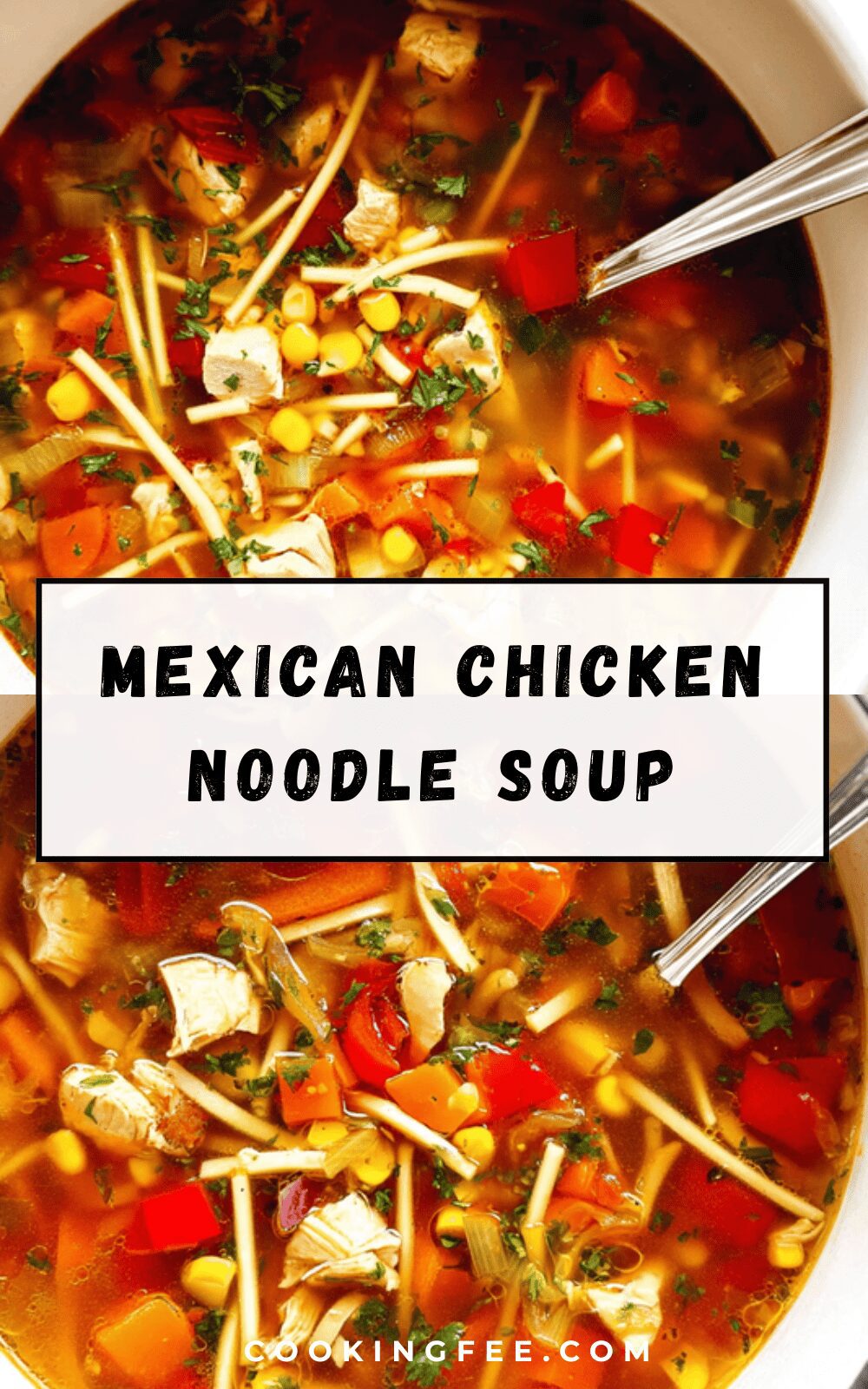 Mexican Chicken Noodle Soup