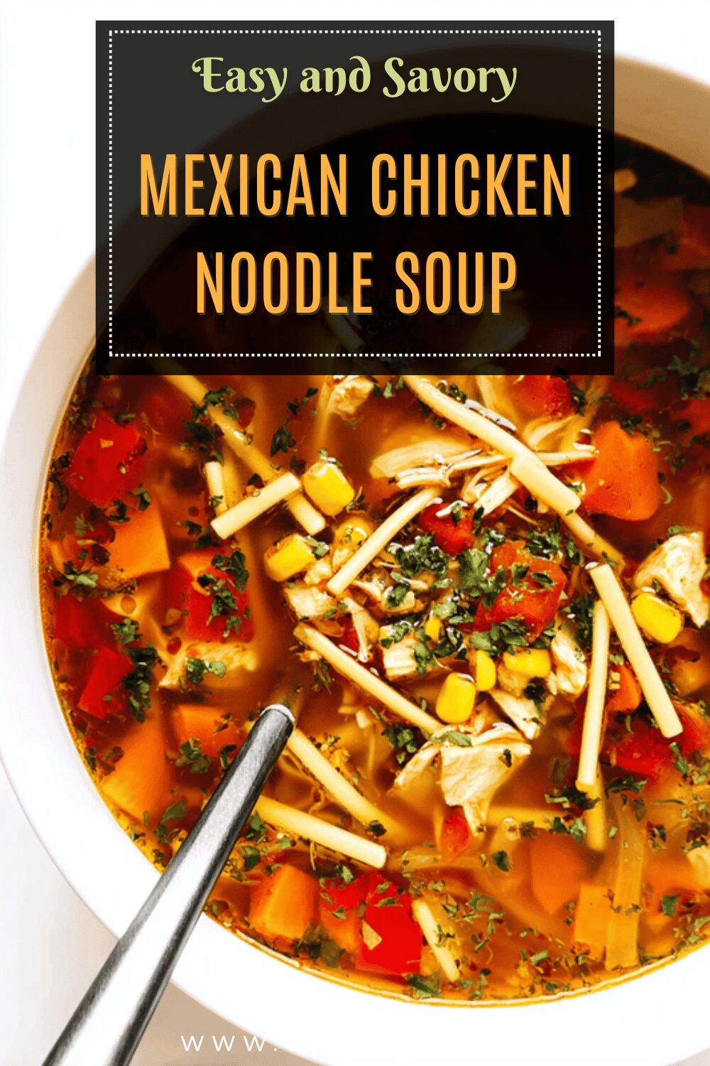 Mexican Chicken Noodle Soup
