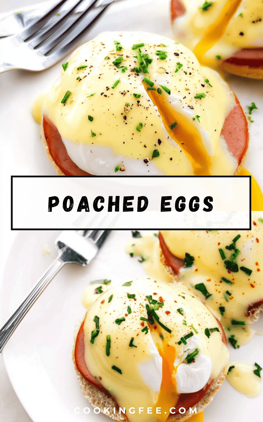 Poached Eggs