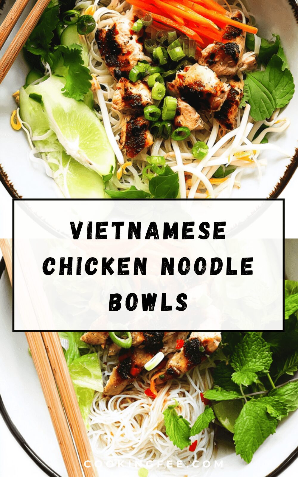 Vietnamese Chicken Noodle Bowls