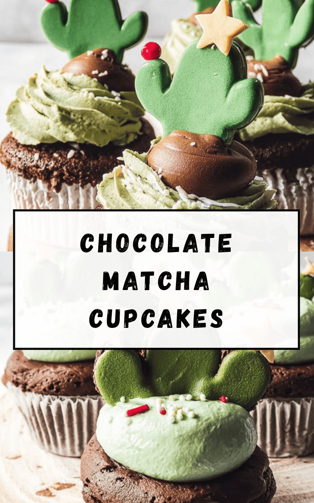 Chocolate Matcha Cupcakes