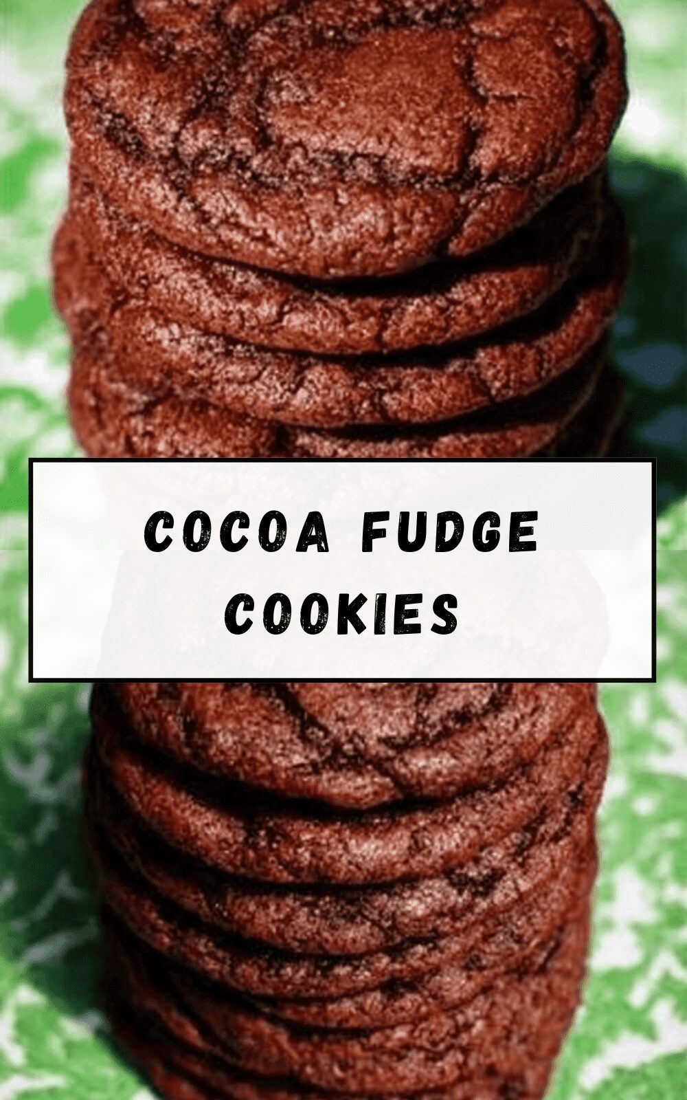 Cocoa Fudge Cookies