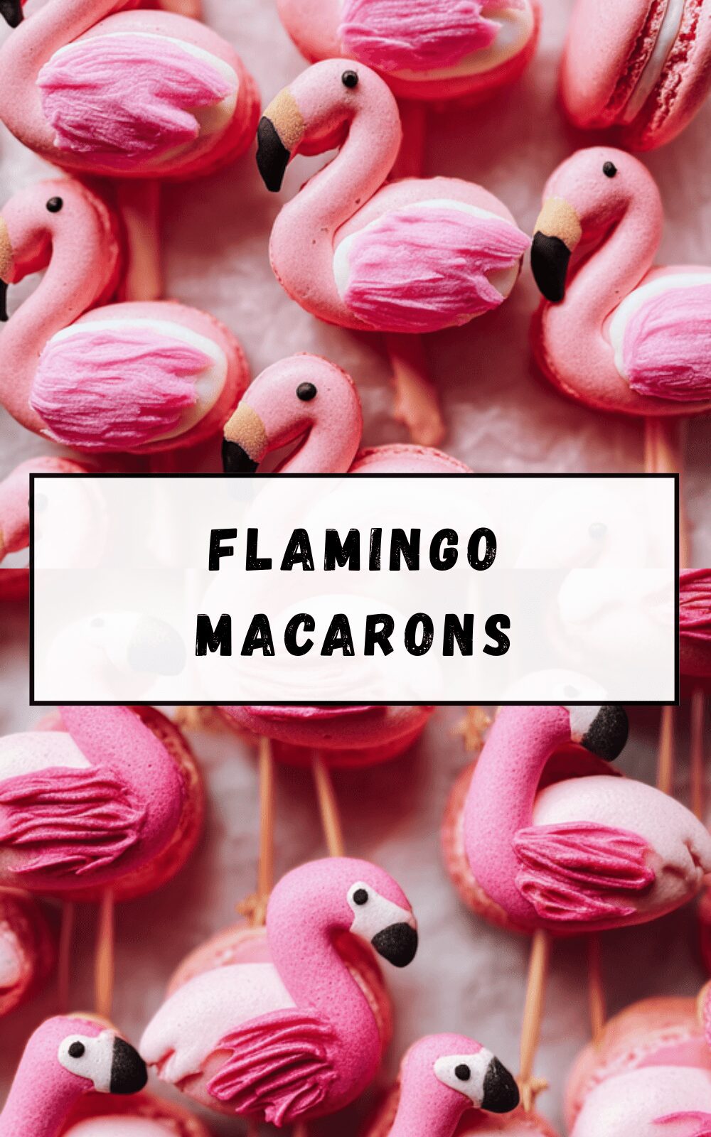 Flamingo Macarons