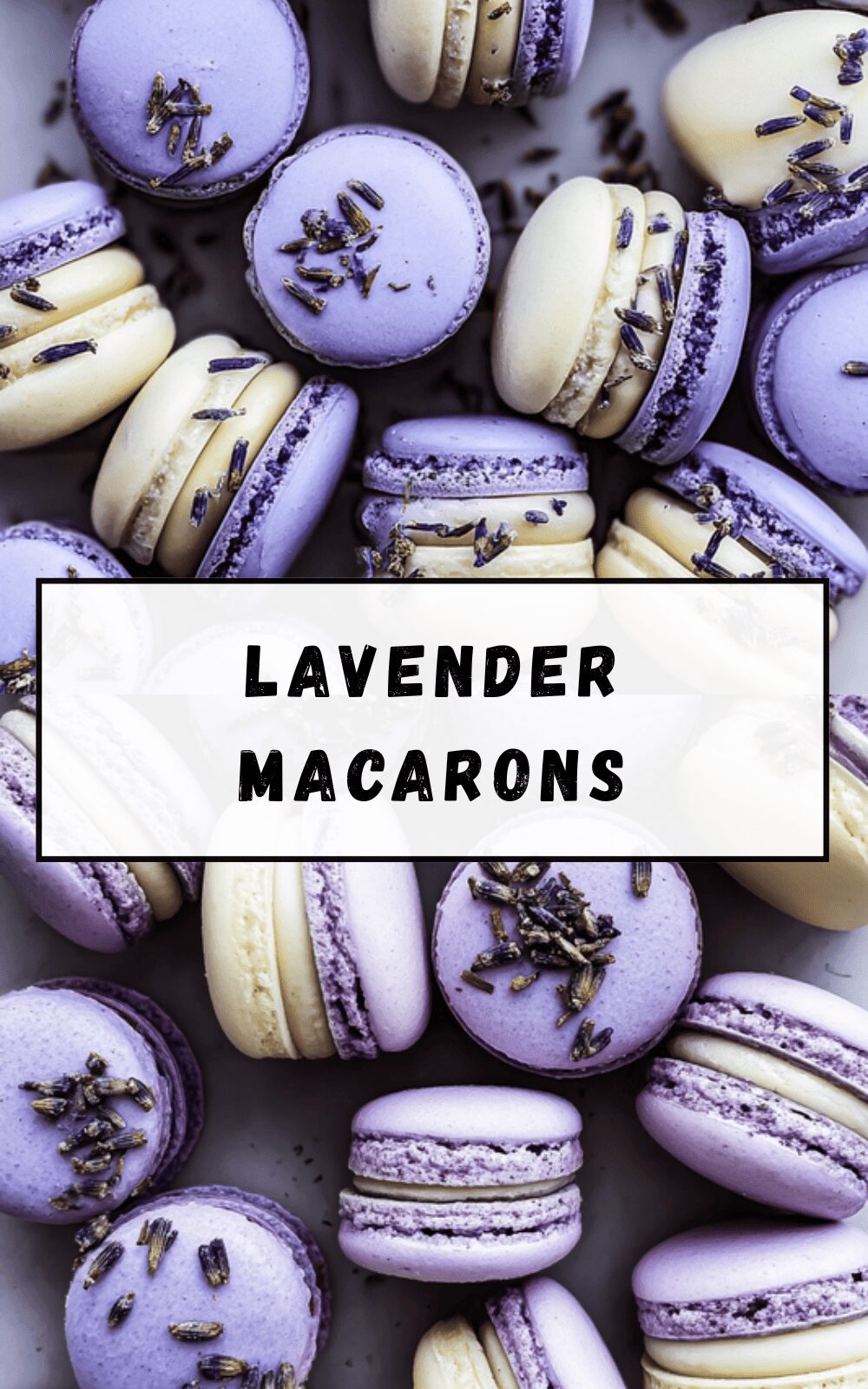 Lavender Macarons