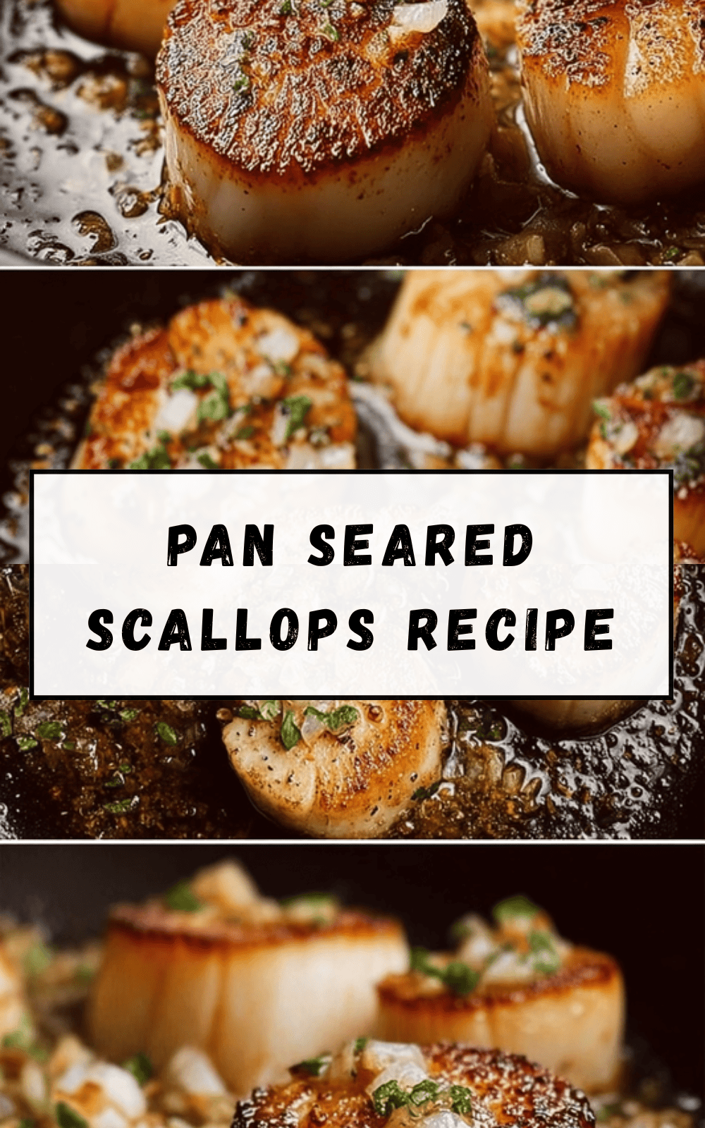 Pan Seared Scallops Recipe