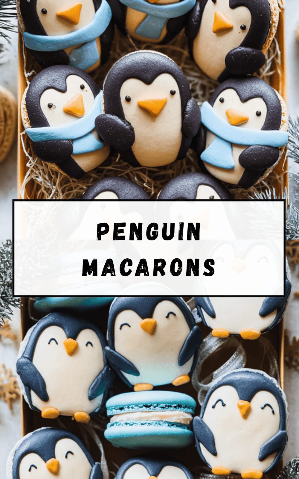 Penguin Macarons