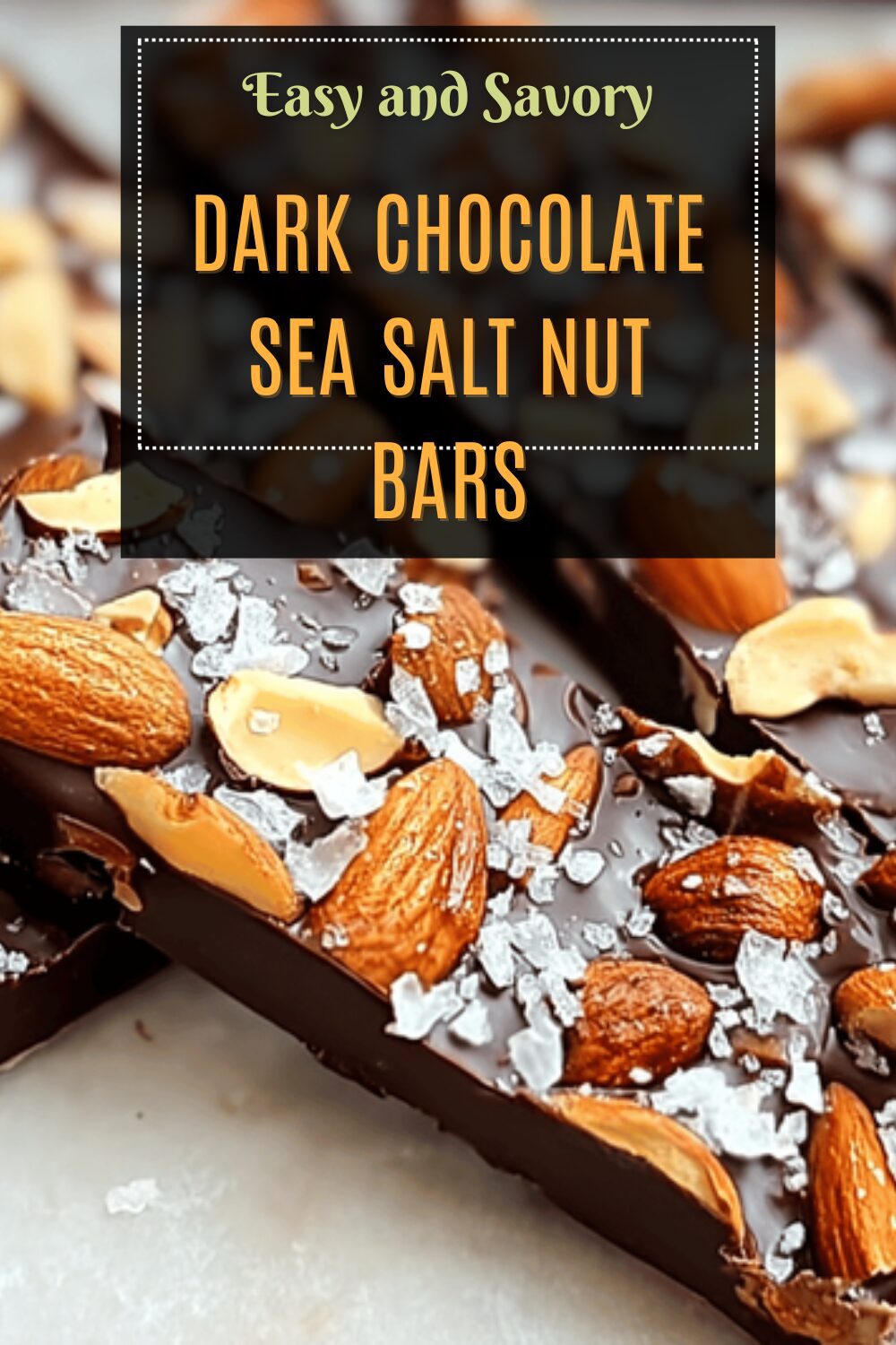 Dark Chocolate Sea Salt Nut Bars