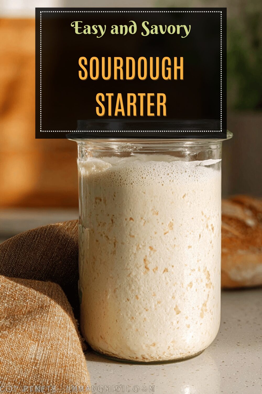 Sourdough Starter