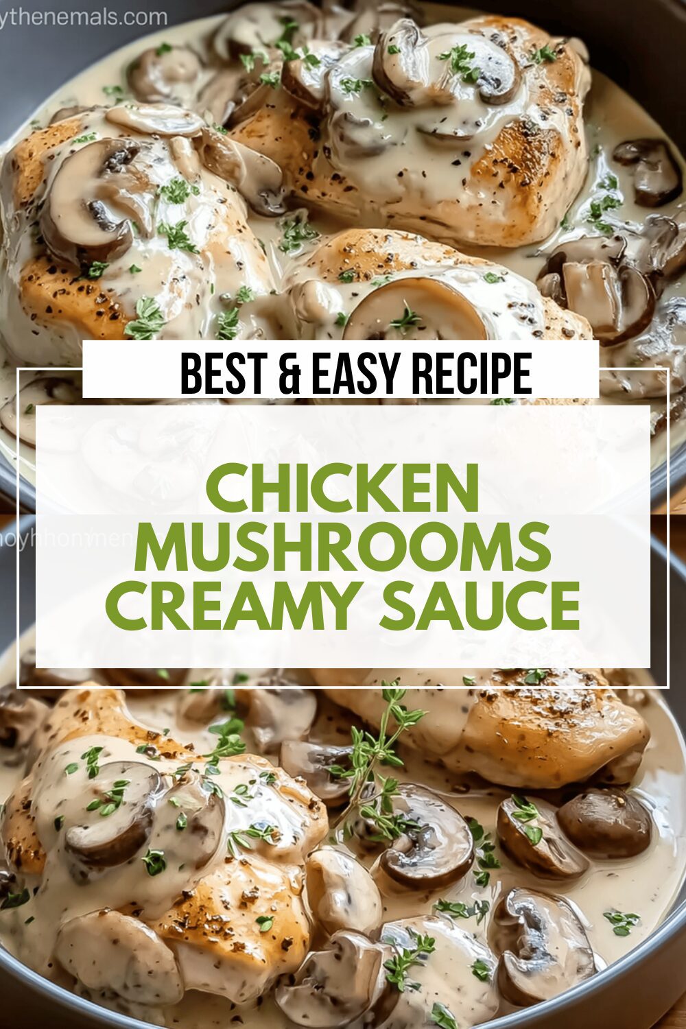 Chicken Mushrooms Creamy Sauce