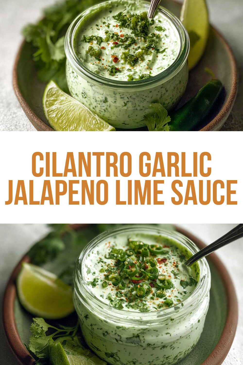 Cilantro Garlic Jalapeno Lime Sauce