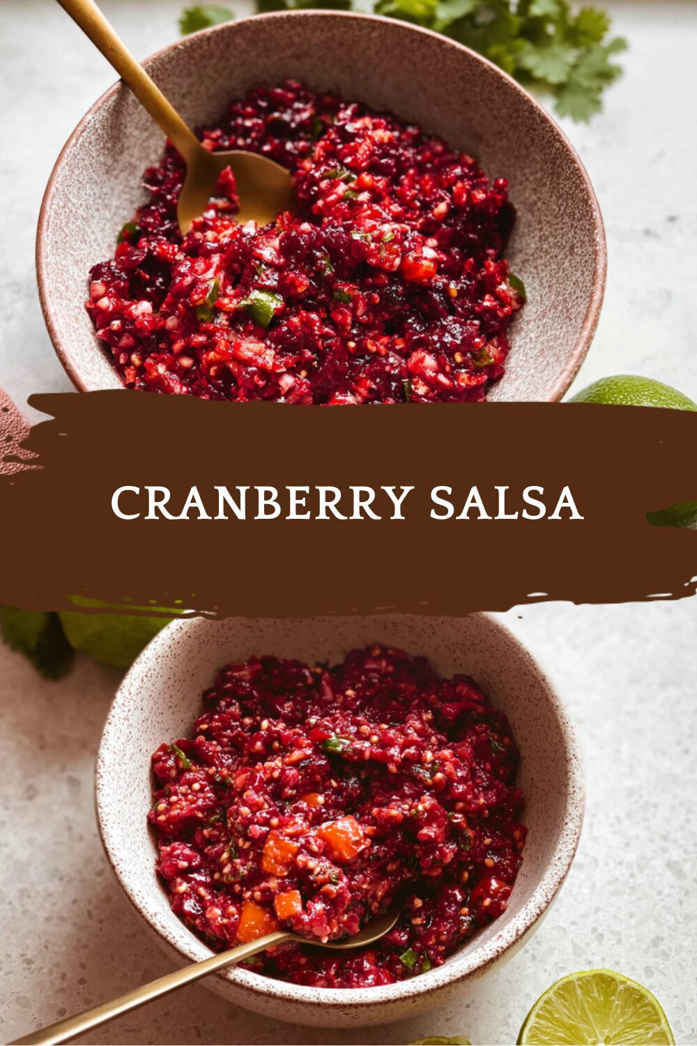 Cranberry Salsa