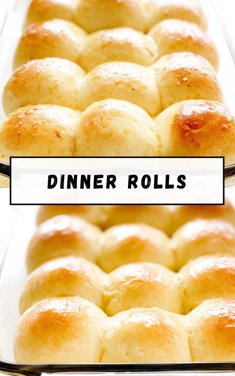 Dinner Rolls