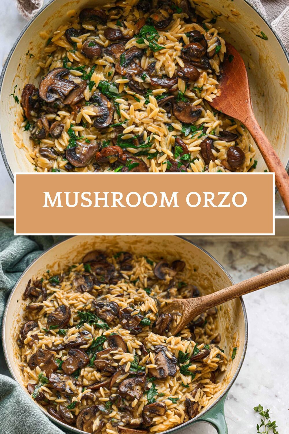 Mushroom Orzo