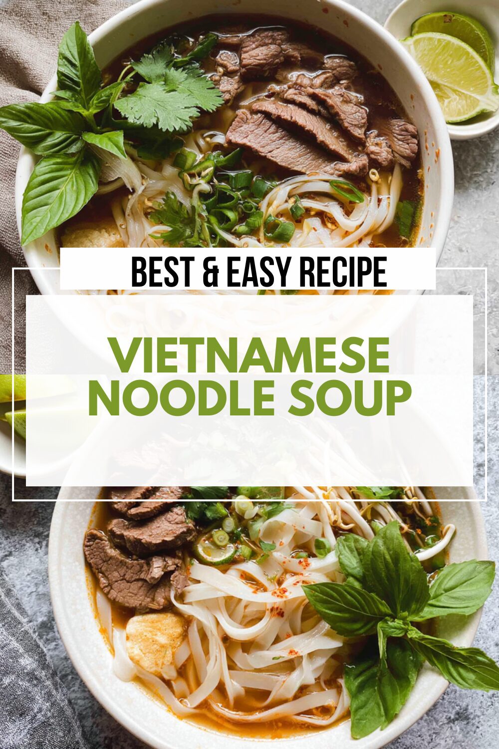 Vietnamese Noodle Soup