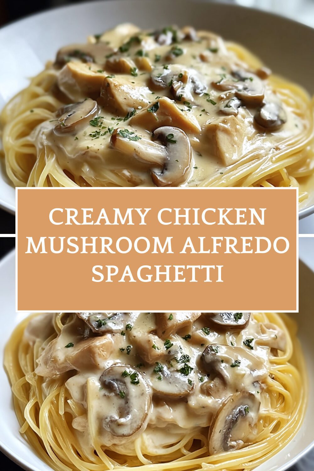 Creamy Chicken Mushroom Alfredo Spaghetti