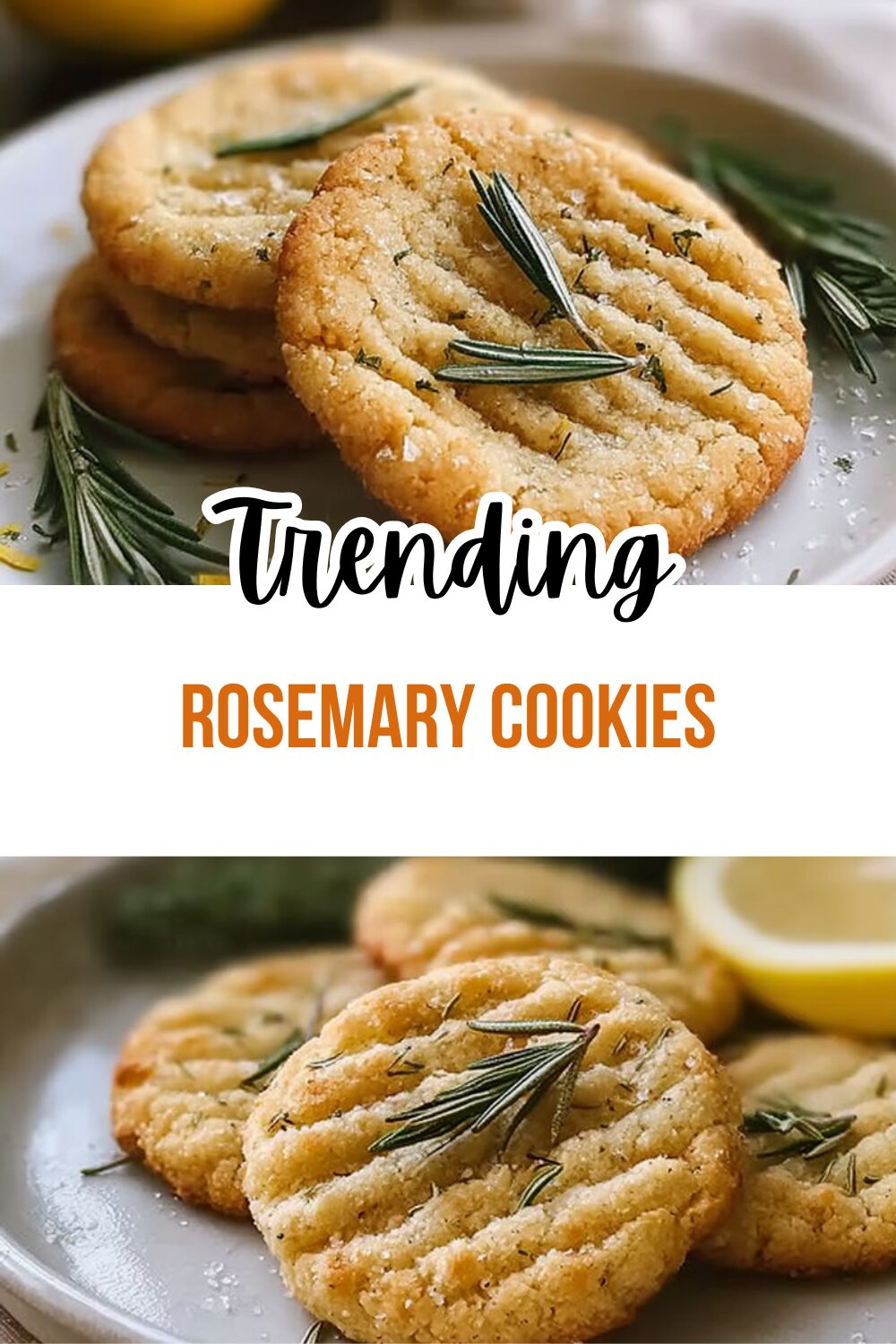 Rosemary Cookies