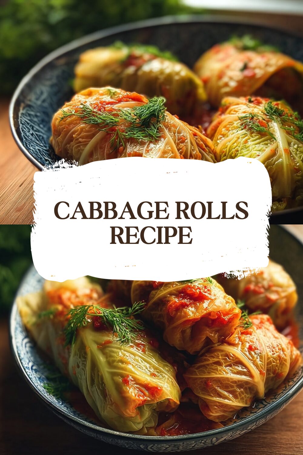 Cabbage Rolls Recipe