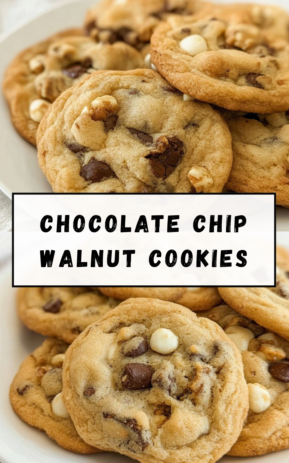 Chocolate Chip Walnut Cookies