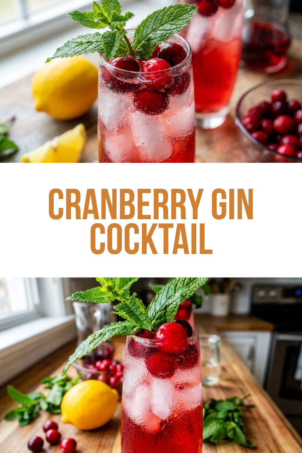 Cranberry Gin Cocktail