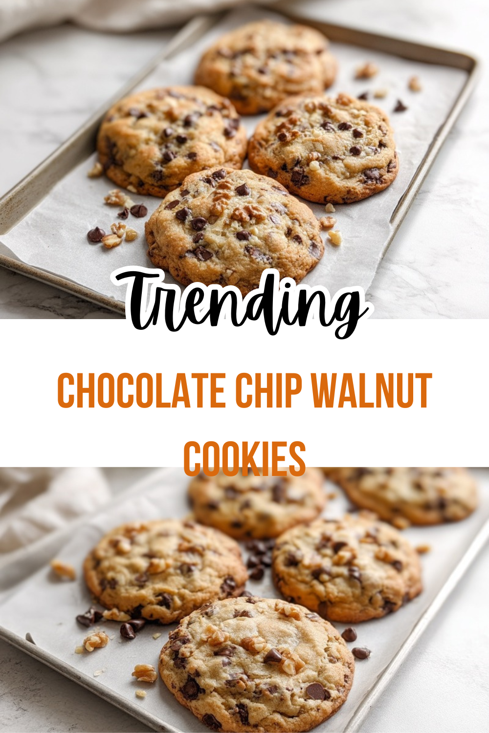 Chocolate Chip Walnut Cookies