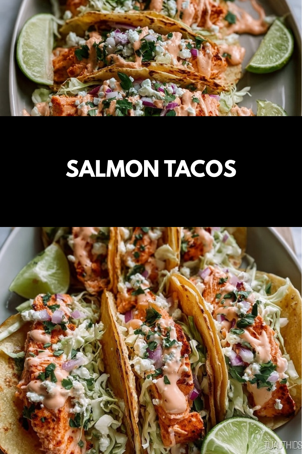 Salmon Tacos