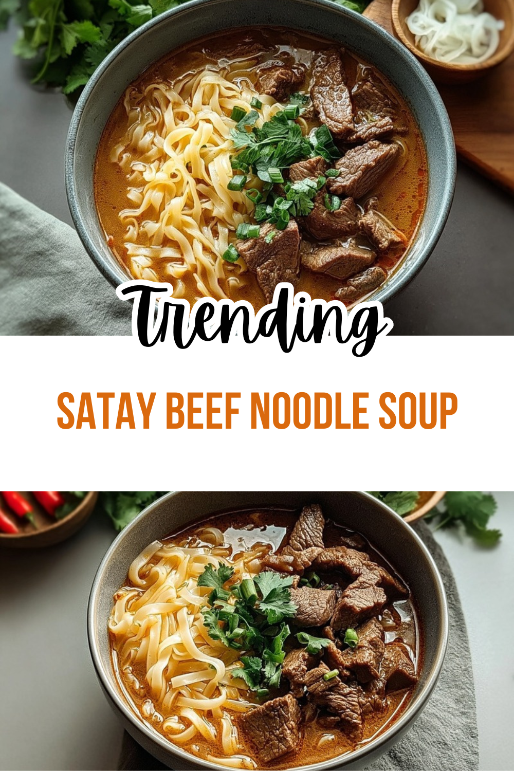 Satay Beef Noodle Soup